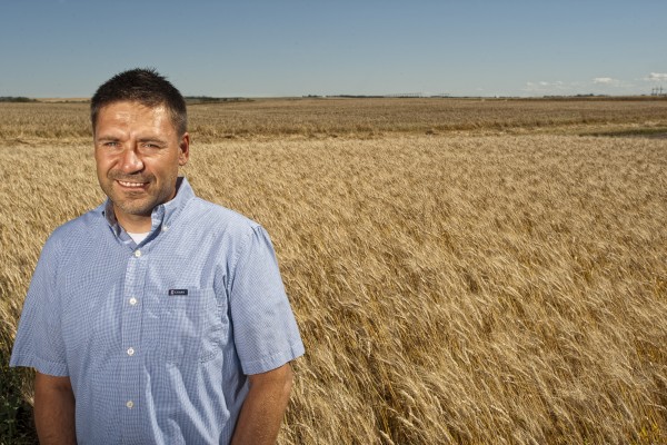 Scientists Crack Wheat Genome