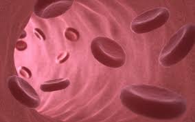Vasculitis Treatment Market Value will…