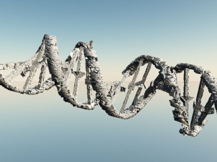 Gene switch may repair DNA…