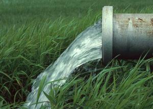 Better water management could halve…