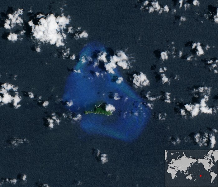 World’s coral under threat