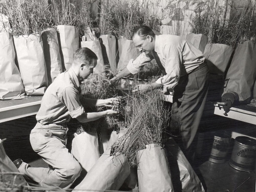 60 years after pioneering survey, Wisconsin prairies are changing rapidly