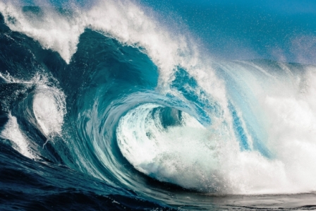 Rogue wave ahead