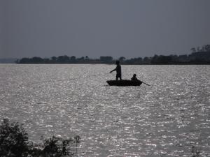 Could indigenous knowledge systems combat…