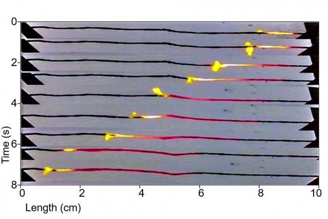 MIT develops nontoxic way of generating portable power
