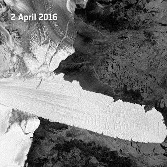 Nansen give birth to two icebergs