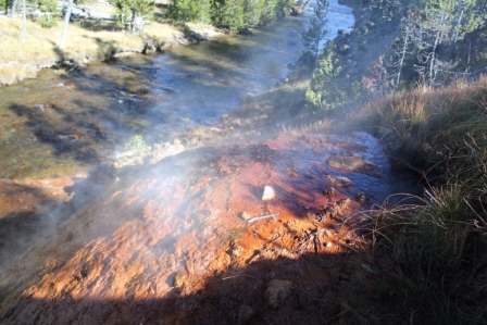 Iron working like oxygen in…
