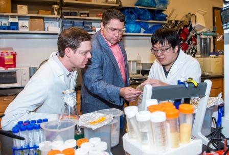 Biotech boon: Natural enzymes on…