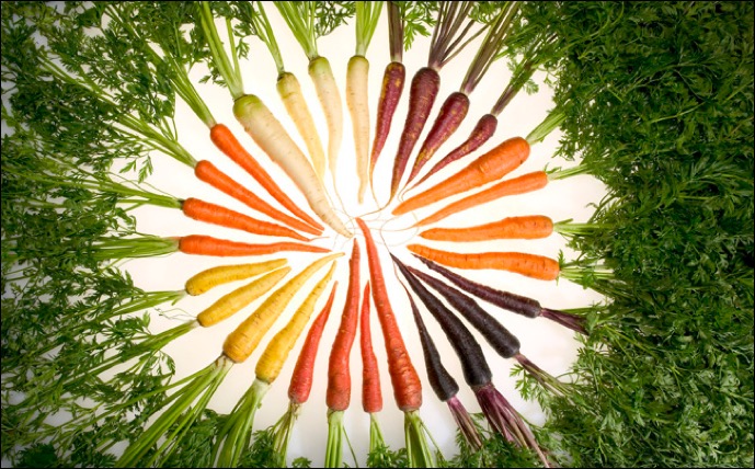 Carrot color arrangement
