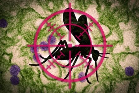 A new paper-based test for&hellip;