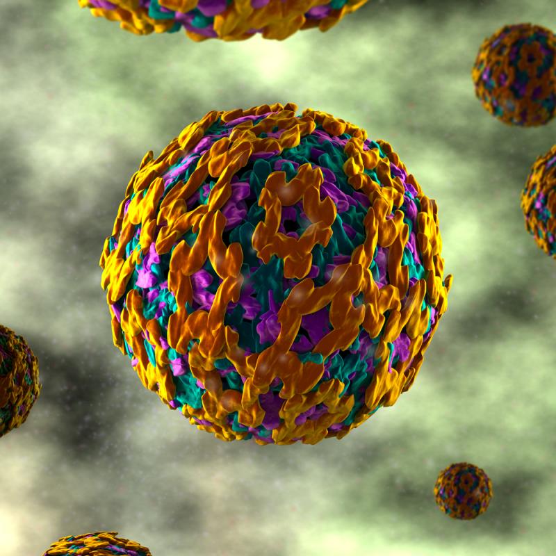 WHO Plans Urgent Yellow Fever…
