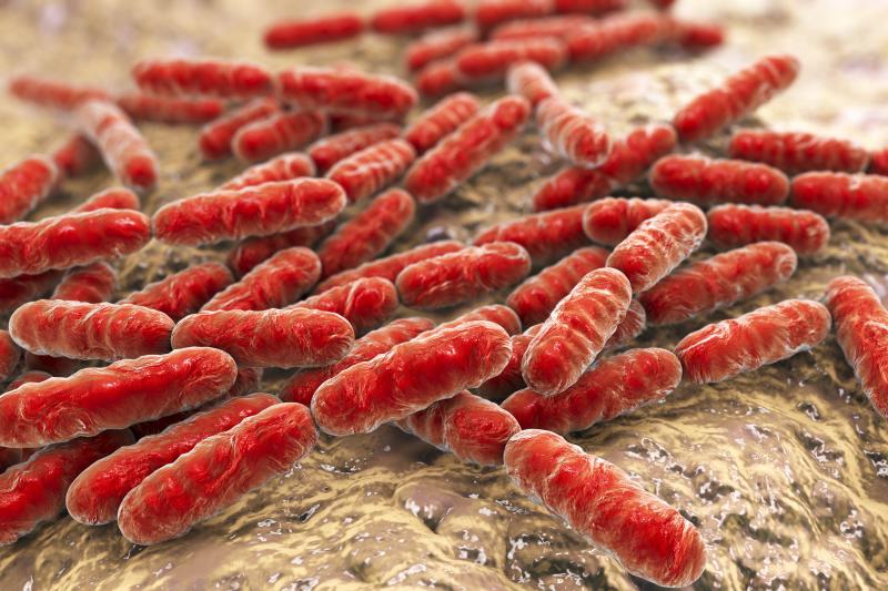 Helpful Bacteria May Protect Against…