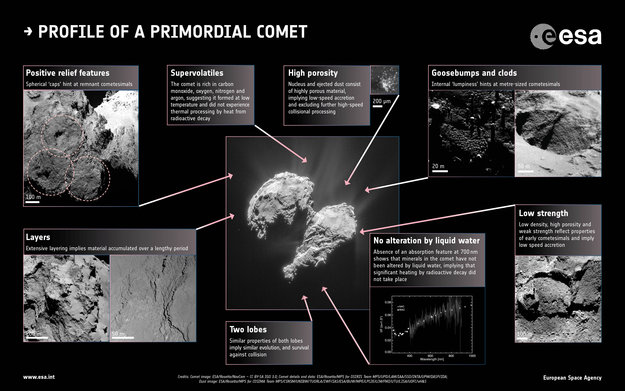 Profile of a primordial comet large