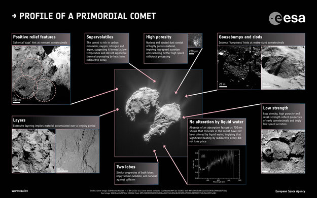 How comets are formed