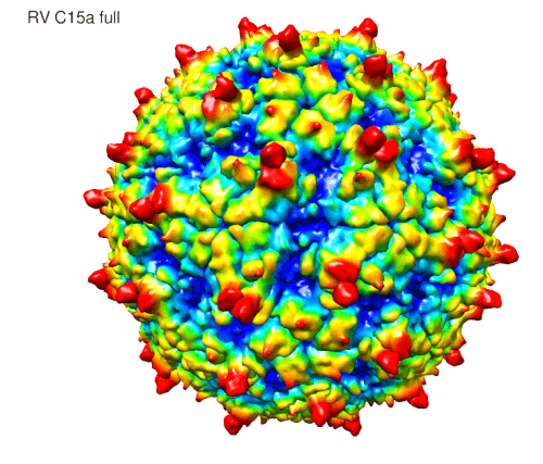 UW, Purdue scientists solve structure…