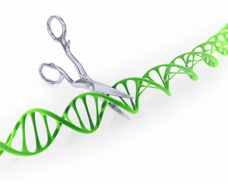 First CRISPR Trial in Humans…