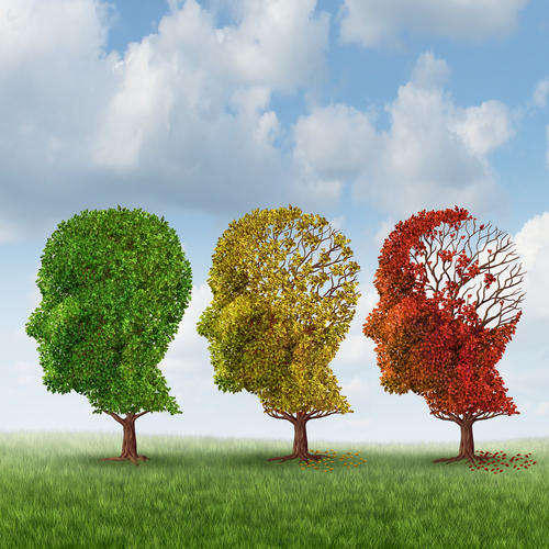 shutterstock Alzheimers2 0 1