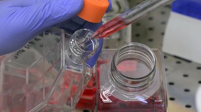 IAEA helps European countries prepare…