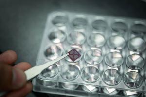 New Study Seeks to Use Human Serum to Detect Heart Attacks