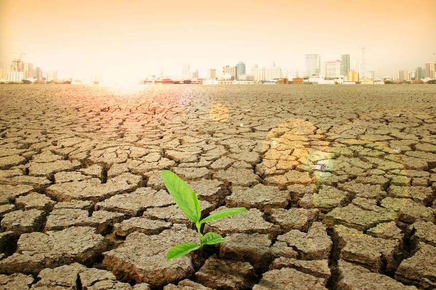 Saving water with superabsorbent polymers