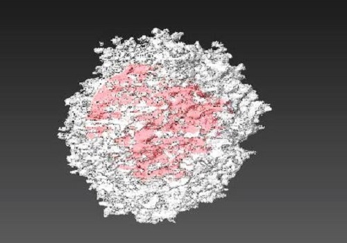 Catalysis steps into the third dimension