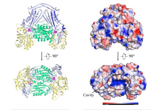 Targeting neglected diseases