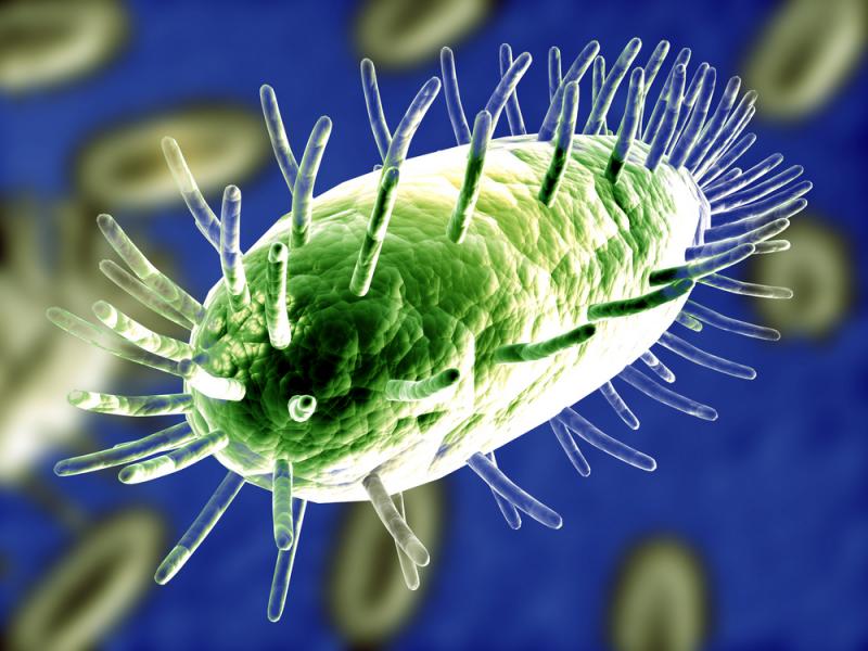 How Antiviral Antibodies Become Part of Immune Memory