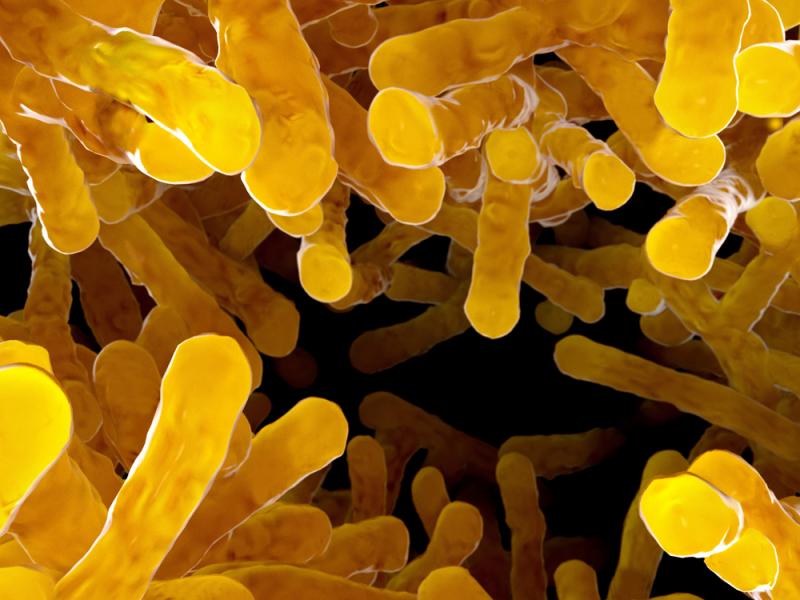 Vedanta Strikes Deal to Develop Microbiome-Infused Immunotherapies
