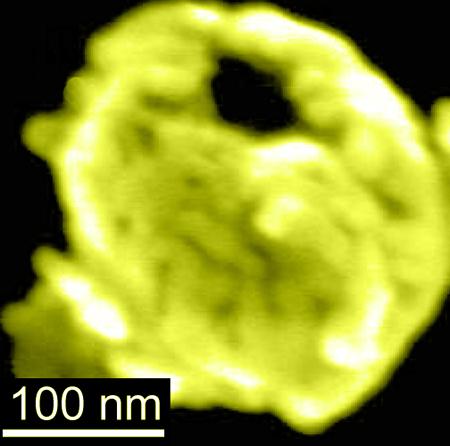 Nanobowls Offer Way to Magnetically Deliver Drugs in the Body