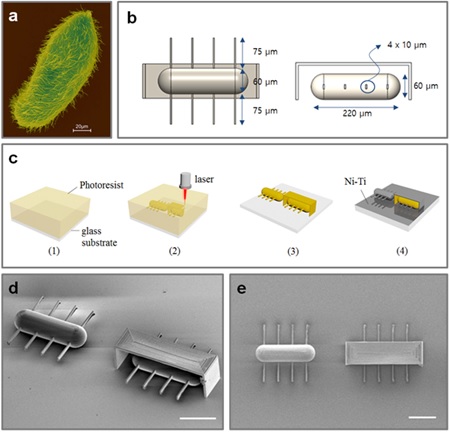 DGIST Research Team Develops World’s…
