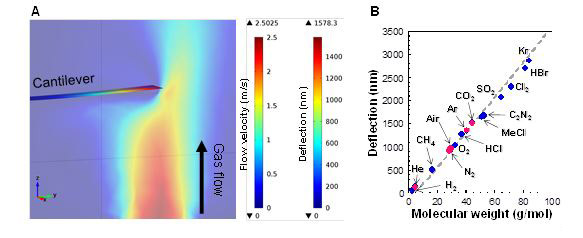 Development of a Novel Mass Analysis Technique That Can Be Performed Even with an Ordinary Business Card