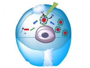 Self-assembled nanostructures hit their target