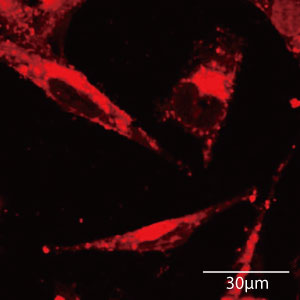 Sharpshooting nanoparticles hit the target