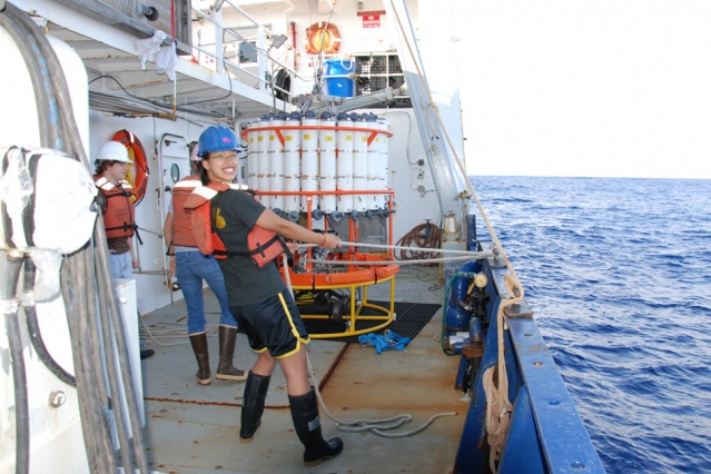 Study finds increased ocean acidification…