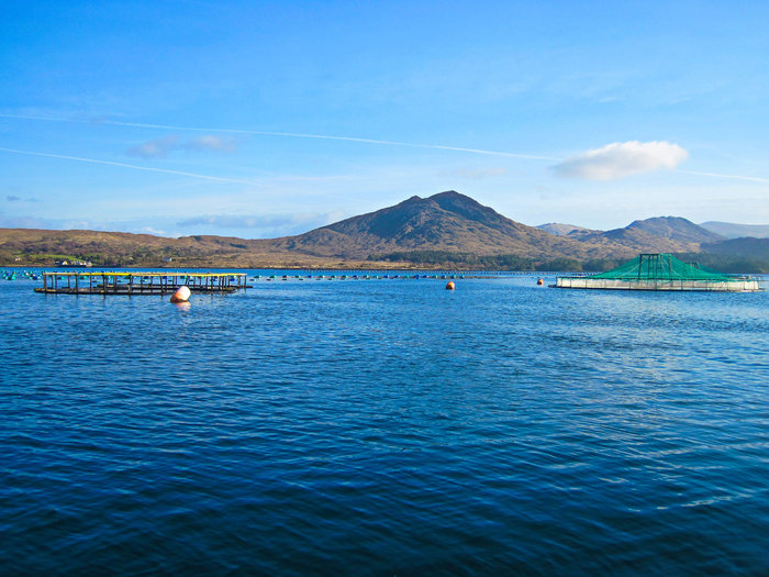 Fish farm guided by Sentinels and the clouds