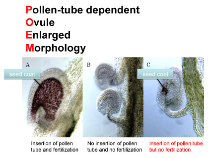 Plant’s POEM: “No need to fertilize, for increase…