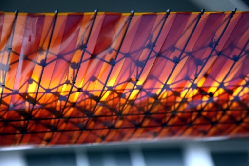 MIT BendingWings 1 0