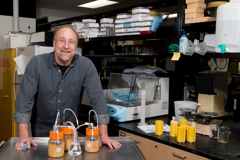 Food scientist aiding fuel ethanol…