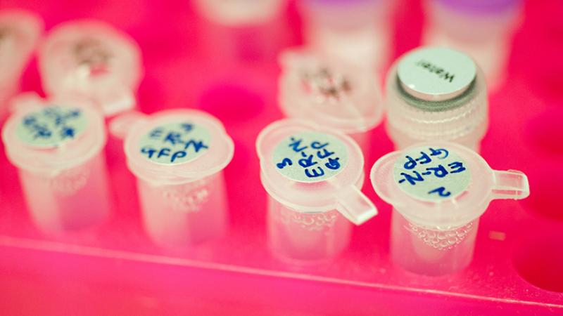 Gene Test Could Pinpoint Patients…