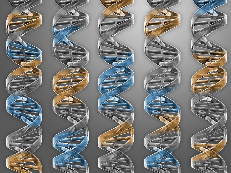 CRISPR Used to Repair Mutation…
