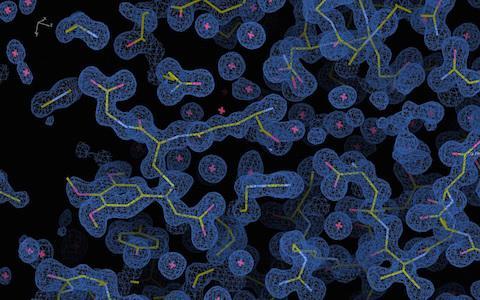 Researchers Uncover Mechanism for Cancer-Killing Properties of Pepper Plant