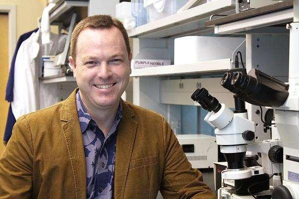 Marijuana Compounds Show Promise in…