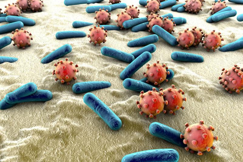 Moffit Researchers Use Mathematics to…