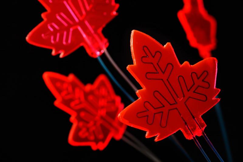 Artificial Leaf as Mini-Factory for…