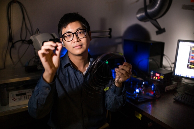 Tiny fibers open new windows into the brain
