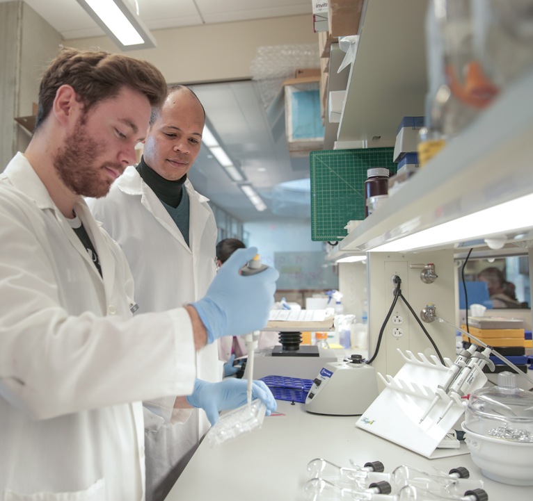 Engineer’s goal is spinal tissue…