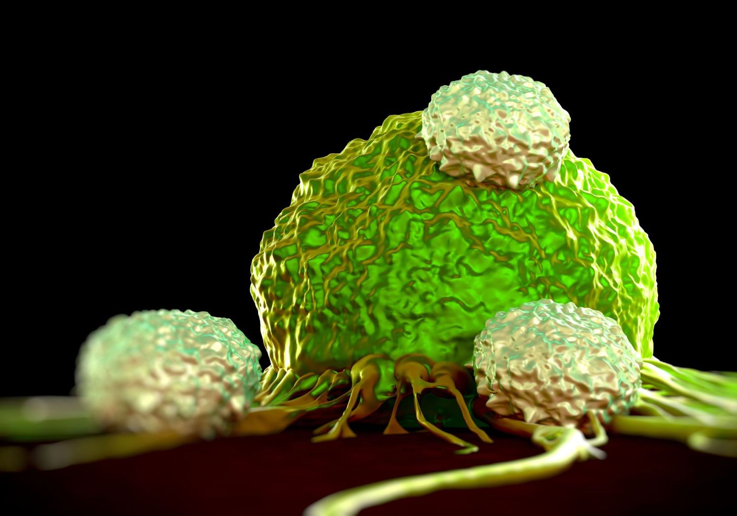 Purifying cells to treat disease