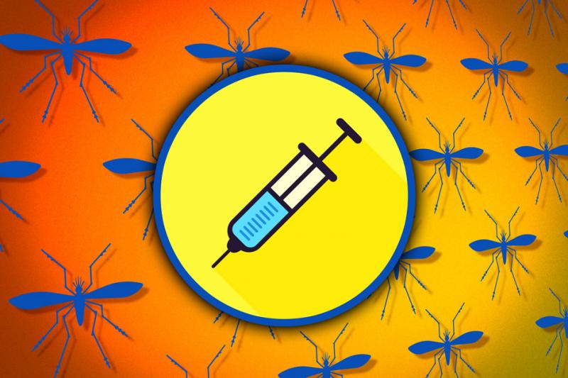 Progress toward a Zika Vaccine