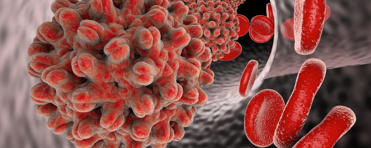 Hepatitis C and B May…