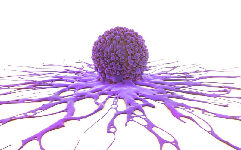 Rogue Breast Tumor Proteins Point…